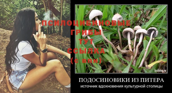 марки lsd Заводоуковск